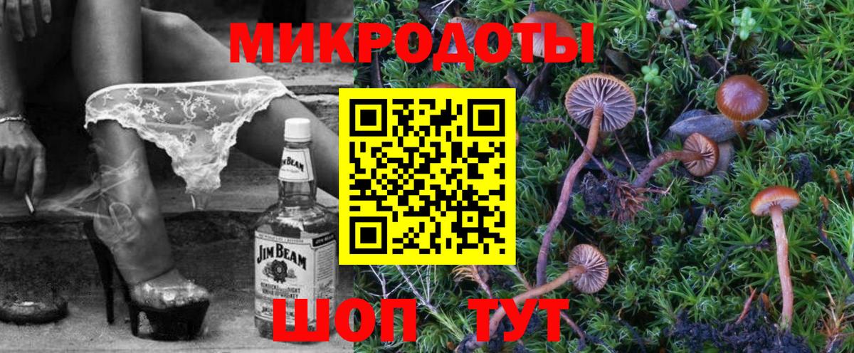 Галлюциногенные грибы Cubensis  купить   Вход с VPN  Кушва  Псилоцибиновые грибы MAGIC MUSHROOMS 